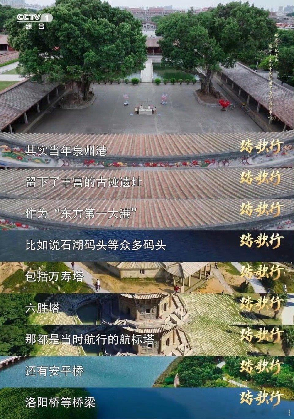 牡蛎也没想到自己可以建大桥中国把基建狂魔刻在了DNA里 洛阳桥的“生态密码”太绝