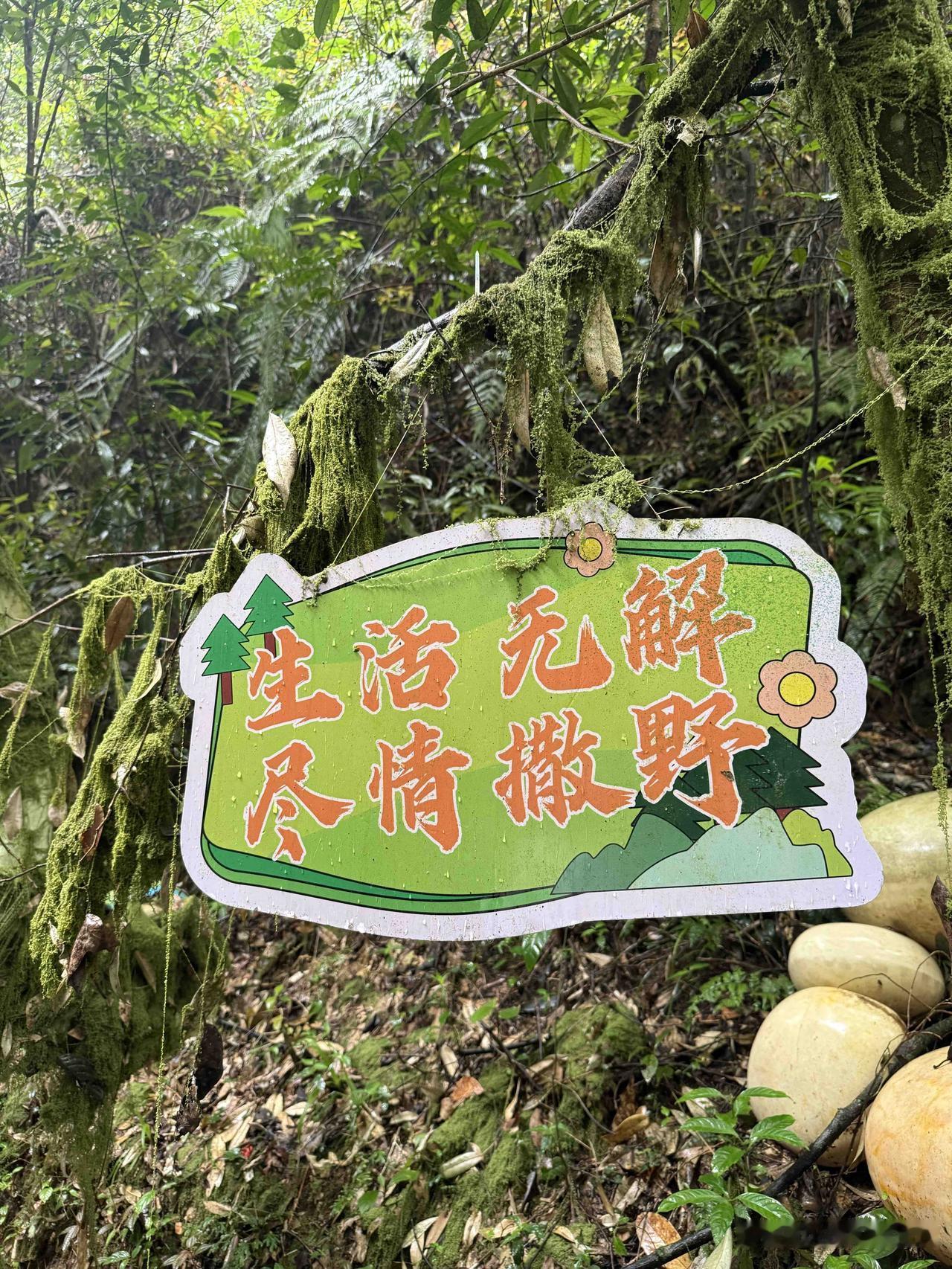 肾移植第3年10个月0天…
昨晚跟人聊天，突然提起我24/25岁就病了，然后27