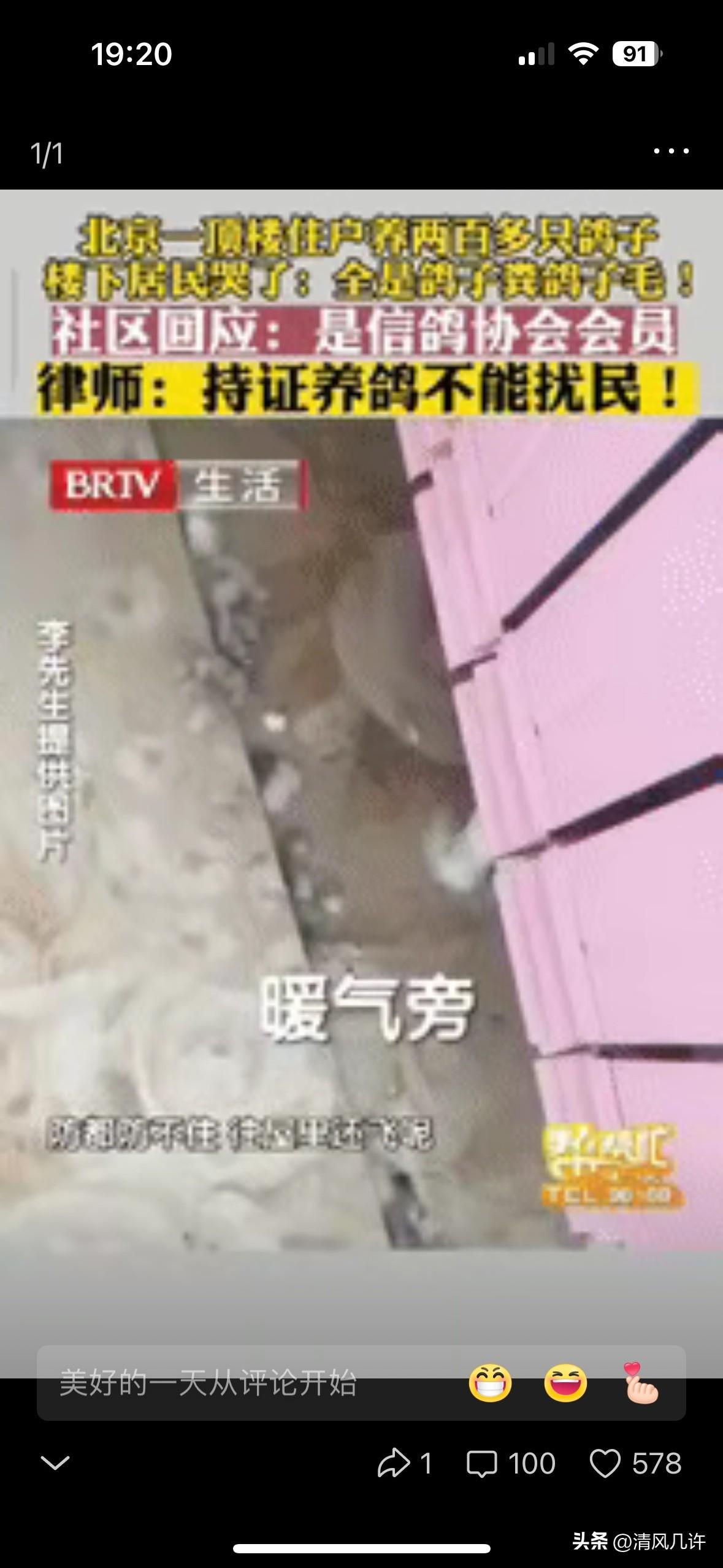 “太缺德了！”北京一男子花235万元买套房子，结果楼上邻居养了200多只鸽子，他