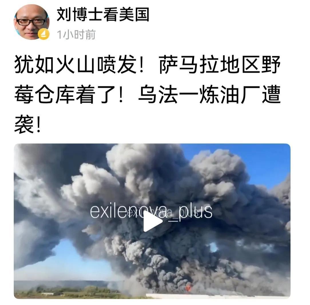 乌克兰天天炸野莓，这是吃柿子选软的捏啊。