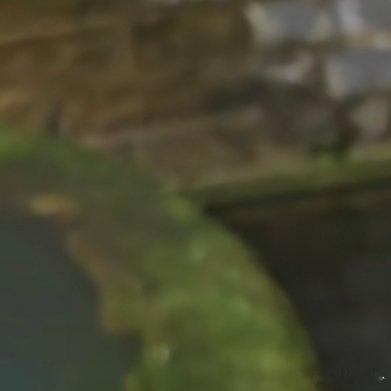 红蜻蜓，会倒立，优雅 