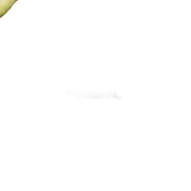 想亲手种出又大又甜的西瓜吗？其实只要掌握几个关键点，在家就能实现。这份教程帮你从