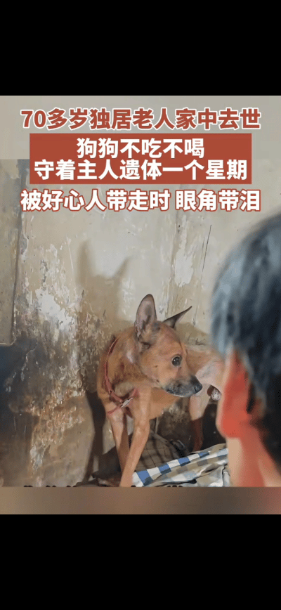 彻底解释不清了！9月4日报道，重庆，一位独居老人家中去世，出现了令人不可思议的一
