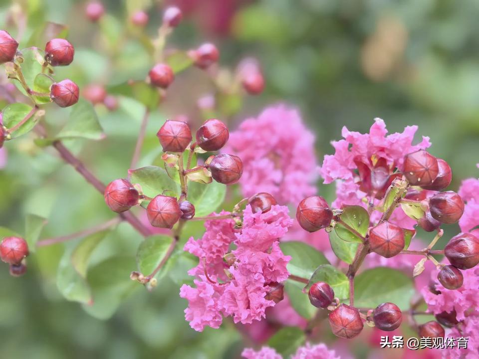 七上八下主汛期，
求下联。