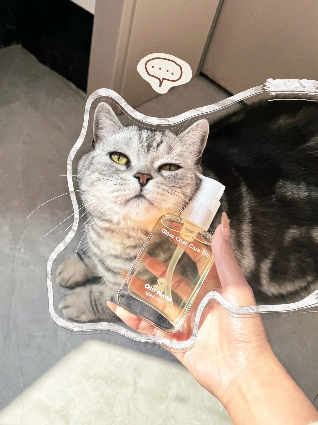 养猫唯一的坏处就是：太掉毛了！