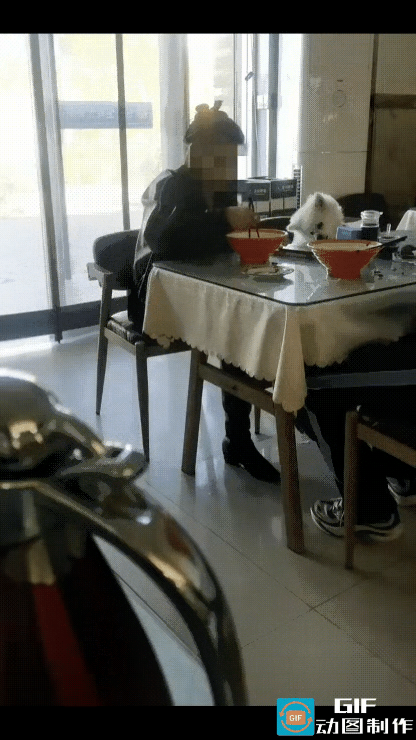 人和狗在一起吃饭，如果这事发生在自己的家里，别人也许不会说什么，但是在餐馆里这么