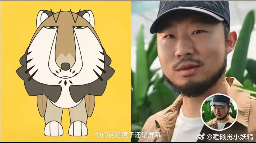 无穷小亮联动洛克王国洛克王国这次联动直接杀疯！邀请无穷小亮来游戏里当生物鉴定师，