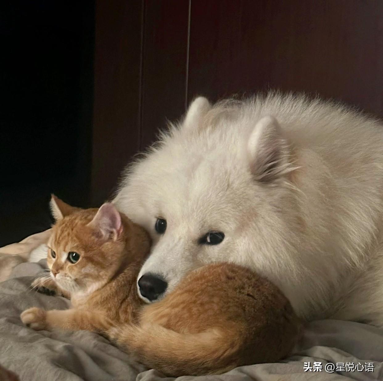 和未婚夫同居后 他不再说辛苦了

和未婚夫同居后，最明显的变化，
就是他再也不说