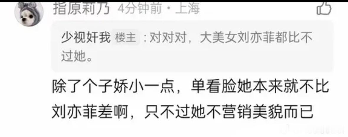 王鹤棣不是顶流，难道你家墩子是顶流？真当墩子国际影响力不输巩俐、章子怡？亲爱的客