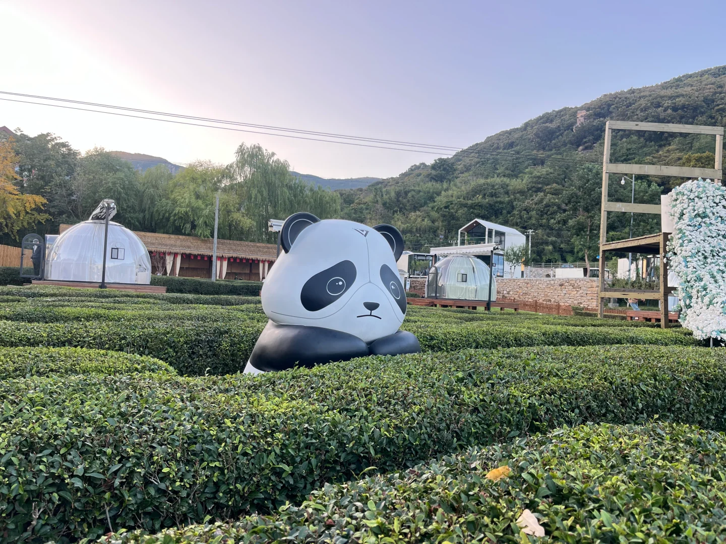 连云港海上云台山咖啡节