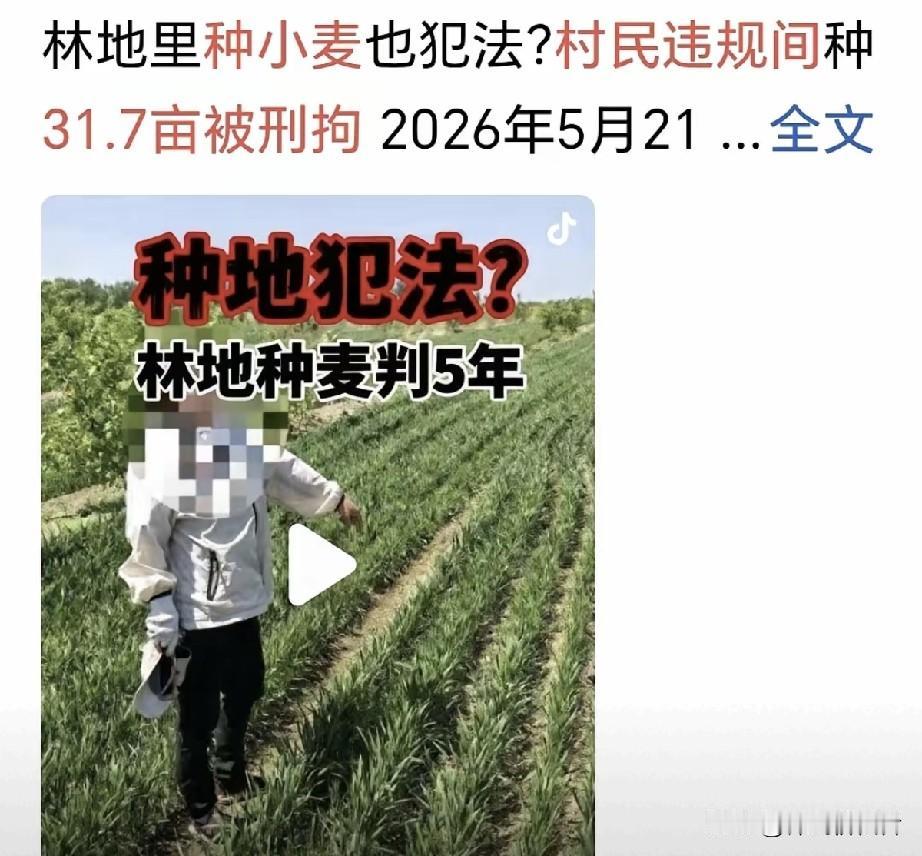 具体问题具体分析，5月21日，农民种地被判，振动了，通辽市科尔沁区村民王某某因在