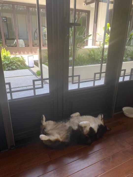 人 你可以闻我的胸膛