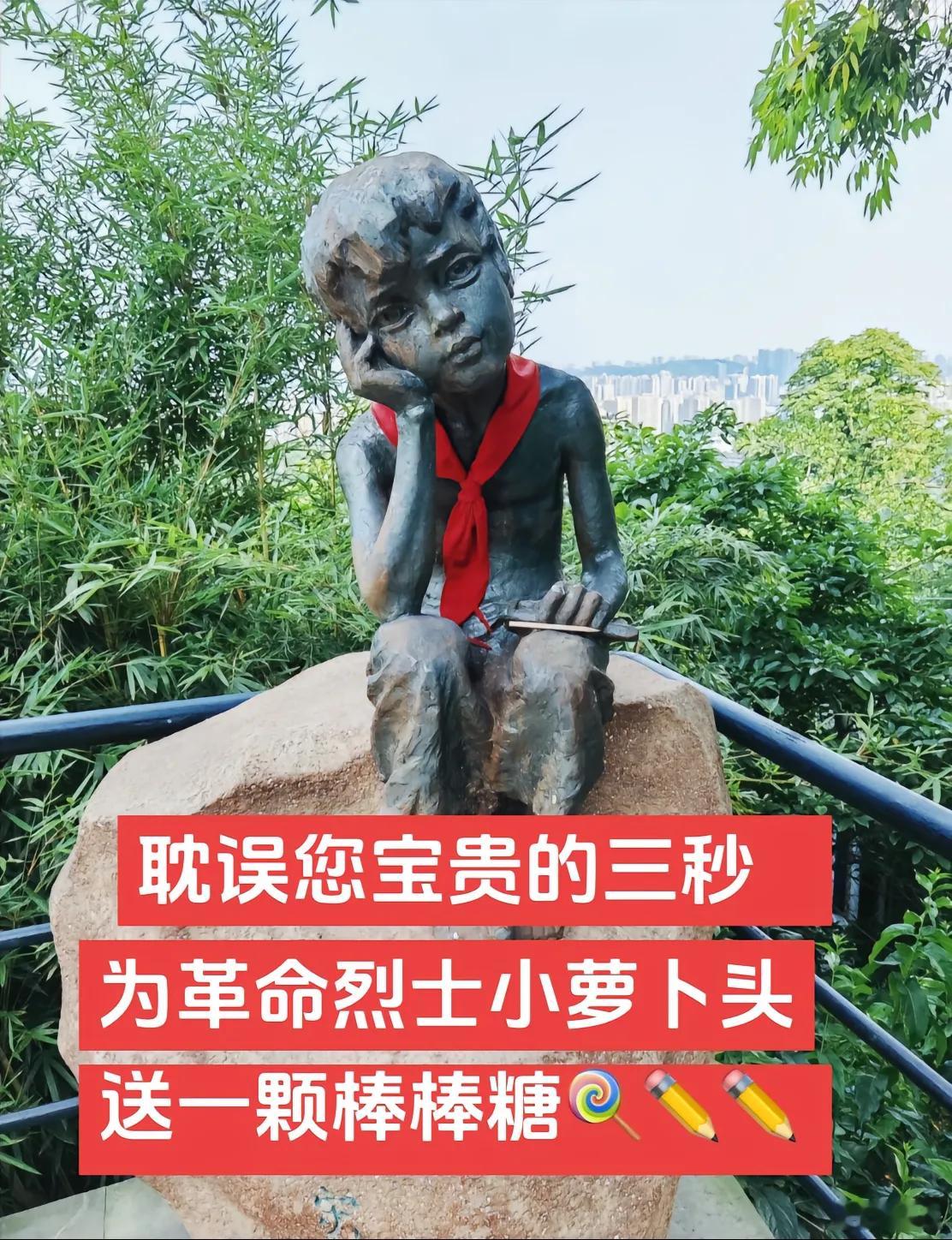 小萝卜头的故事 铭记历史，吾辈当自强 