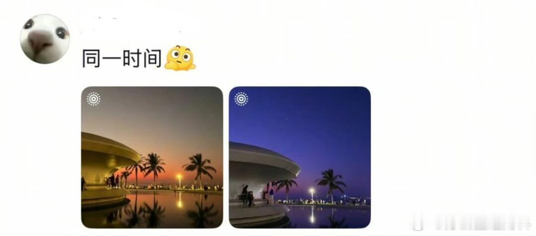 趁手机不注意拍照真的有用…… 