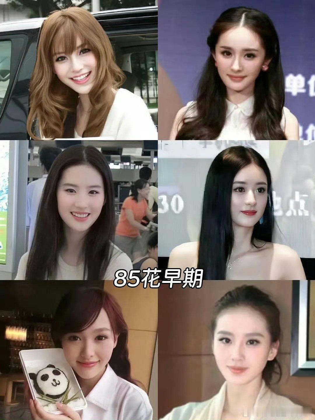 859095花早期颜值内娱859095花早期颜值 早期都好青涩啊，各有各美！ 