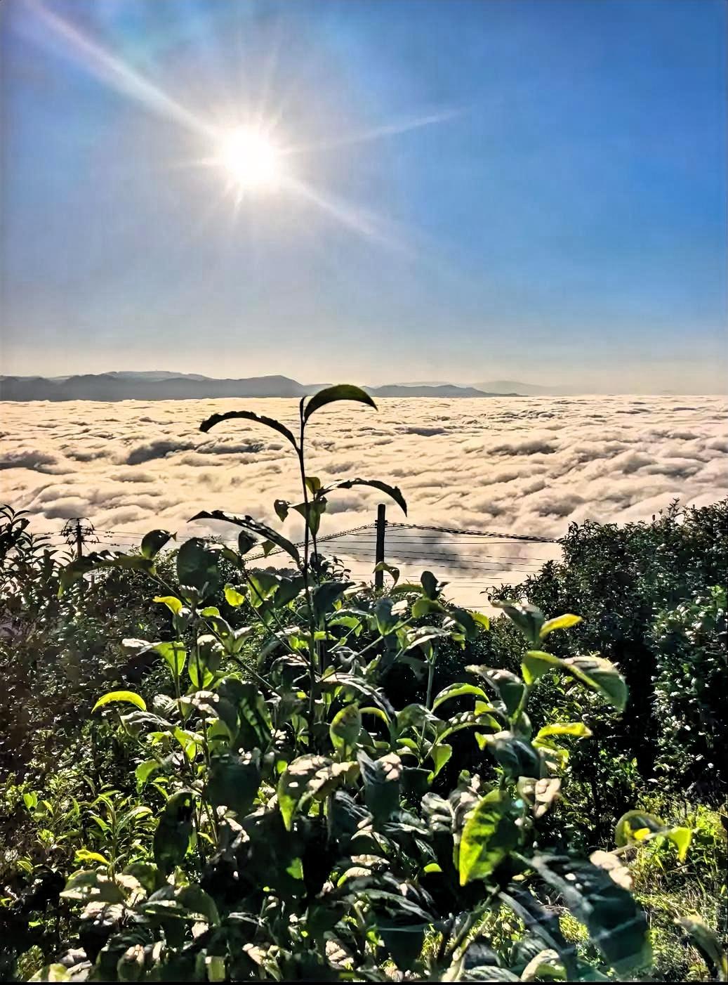 阳光洒满云海，俯瞰山川，感受大自然的壮丽与宁静。站在高耸的山巅之上，那温暖的阳光