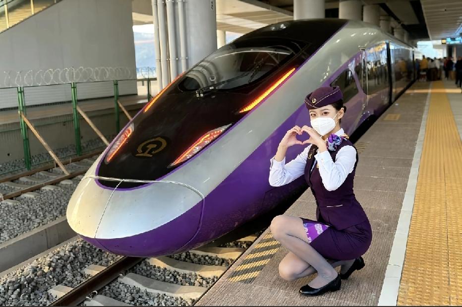 梦幻紫色列车，你知道这是那个铁路局的车吗？