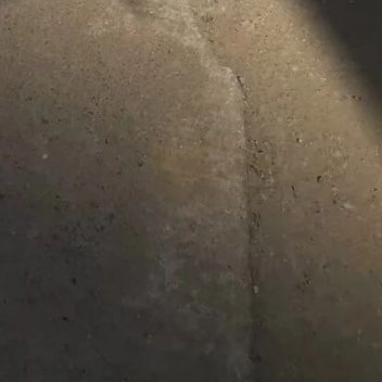 你是造物者的光荣，是四季不变的郁郁葱葱，是山海云霞里温柔的风。是我所有岁月里，永