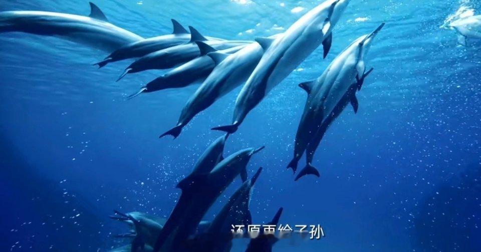 #罗大佑为地球写新歌#这首公益单曲挺好听的，立意很好，这不仅仅是罗大佑的心声，更