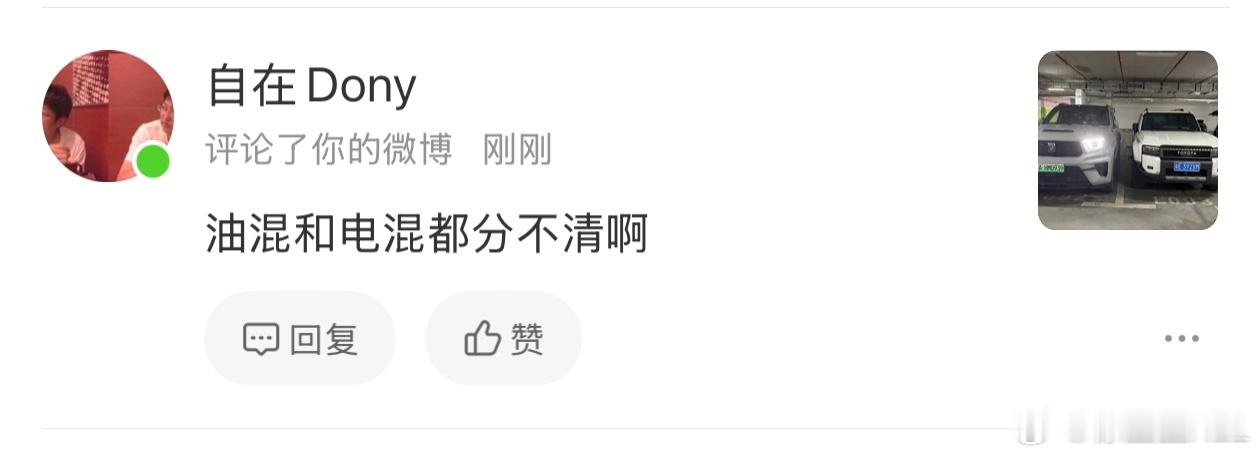 我真的分不清油混和电混。谁能告诉我什么是油混？什么是电混？以我对技术的理解。油混