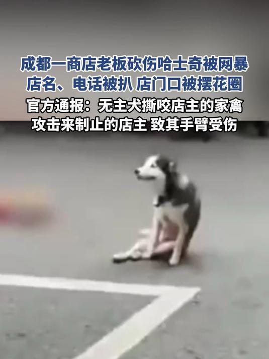 10月10日成都龙泉驿区，一条流浪哈士奇先咬死店主家鸡，又致店主受伤，店主情急下