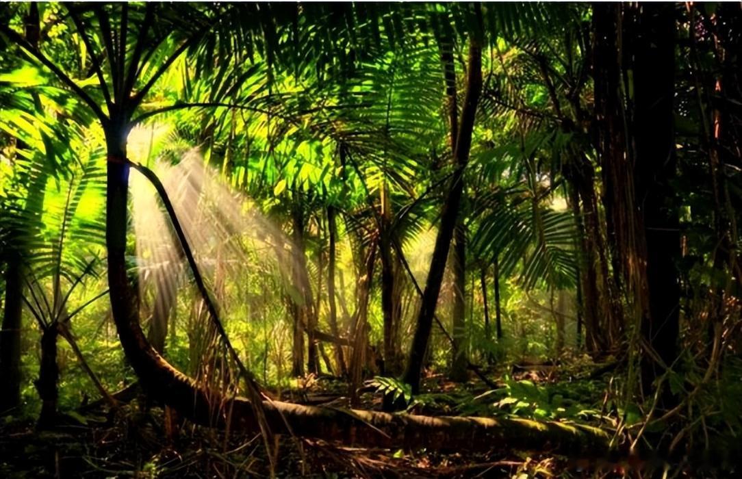 【财富晚茶-午间投资】沪弱深强：风格切换资金博弈；大禹生物 ：前期三顶杀跌企稳；