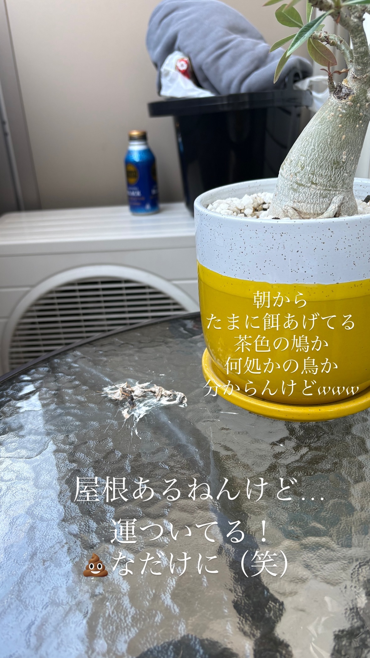 三嶋健太（ins 快拍 