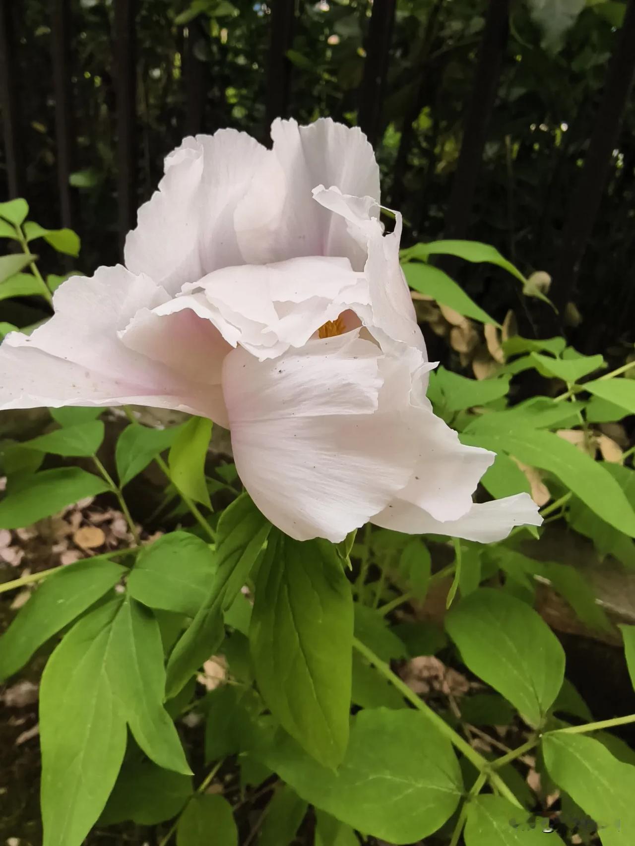 一个亲戚的举动，明知道是好意，却让我不想再去他们家了。


人们常常因为一个人的