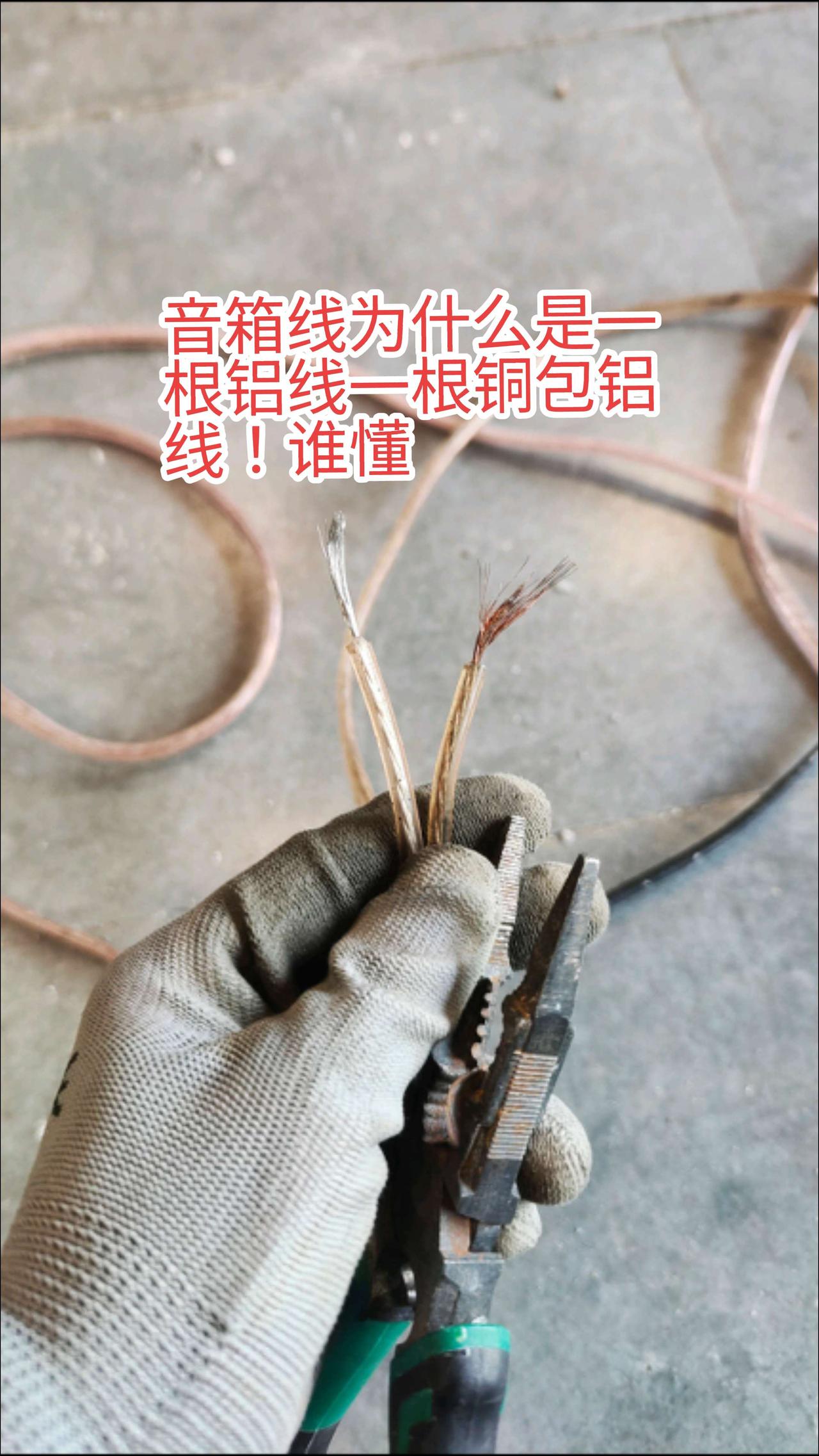 请问大家，为什么双芯音箱线一根是铝线一根是铜包铝，有电工师傅知道的吗？电路维修 