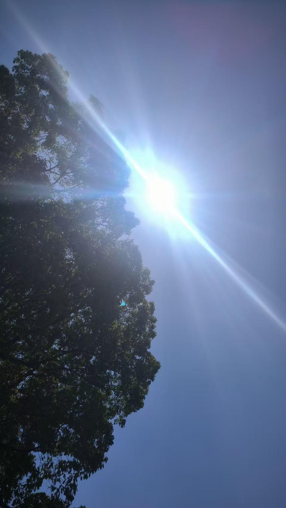 新手小白在头条如何看到收益
 
新手在今日头条看收益，核心是先开通收益权限、再找