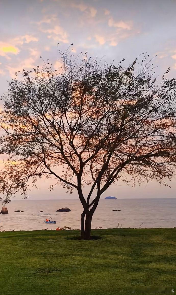 内娱终于有明星拍出电影感画面了黄觉镜头下的热依扎格外明艳，把自身的亮眼特质完美捕