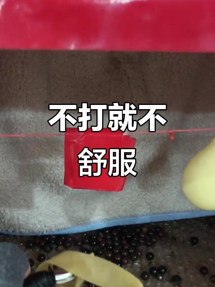 灾难制造专家就是那种一天不打上房揭瓦的性格 