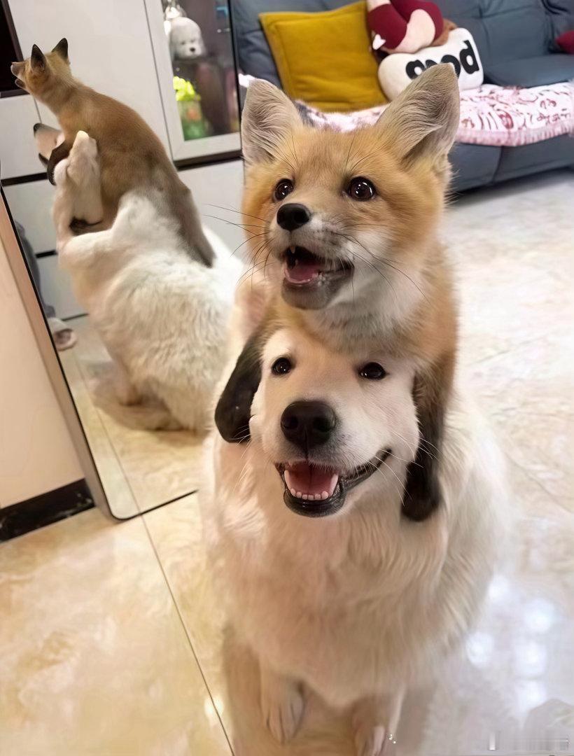 天啊，好可爱 ​​​