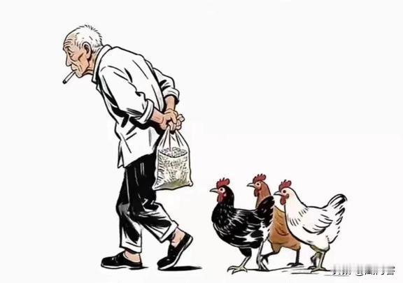 人老了，手里有米，鸡才跟着你走，要是两手空空，别说鸡了，连影子都嫌你走的慢。鸡都
