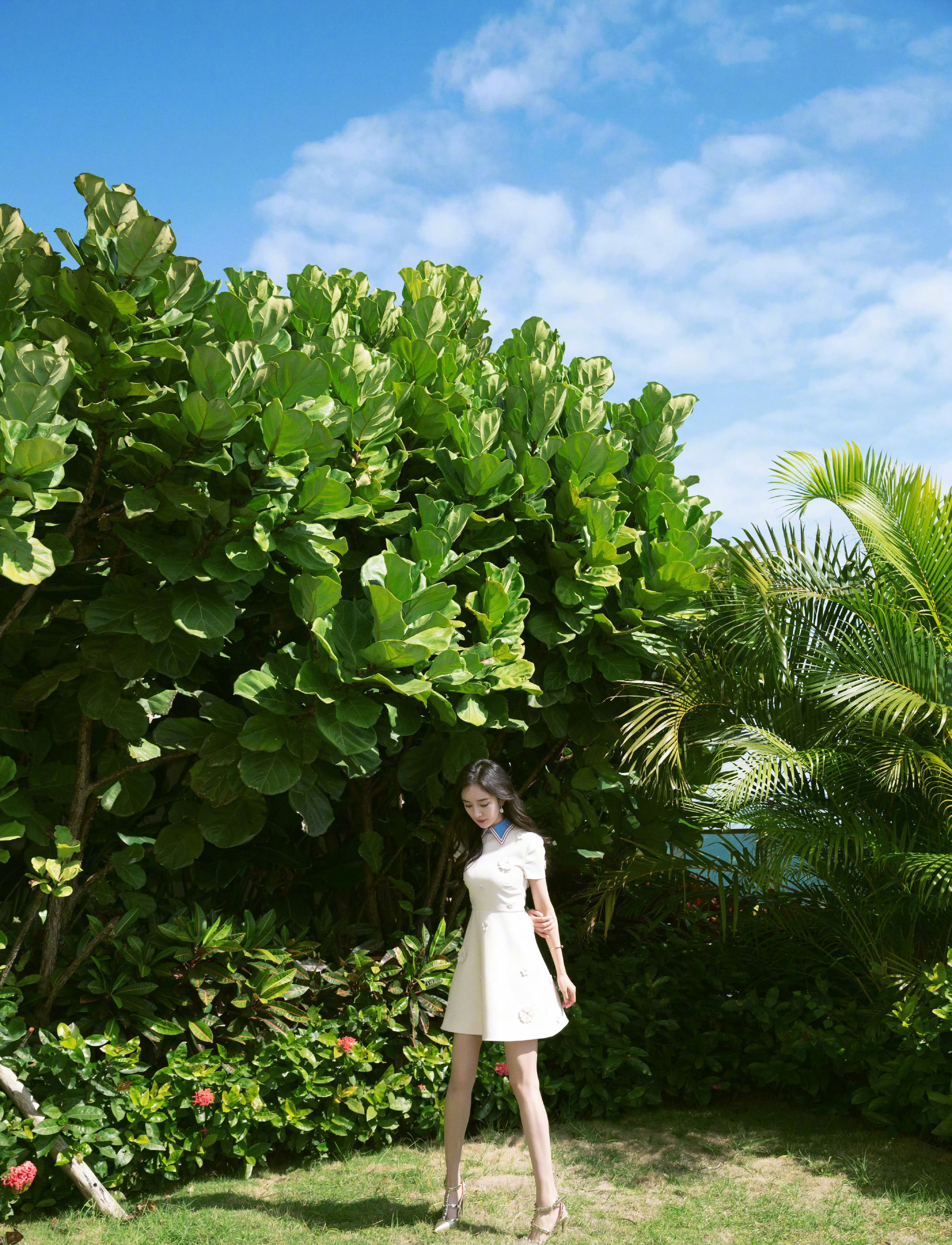 海南岛🏖️🌴 