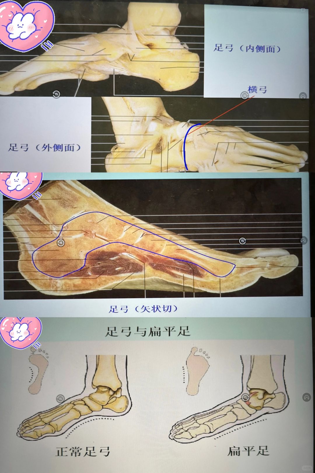 足🦶