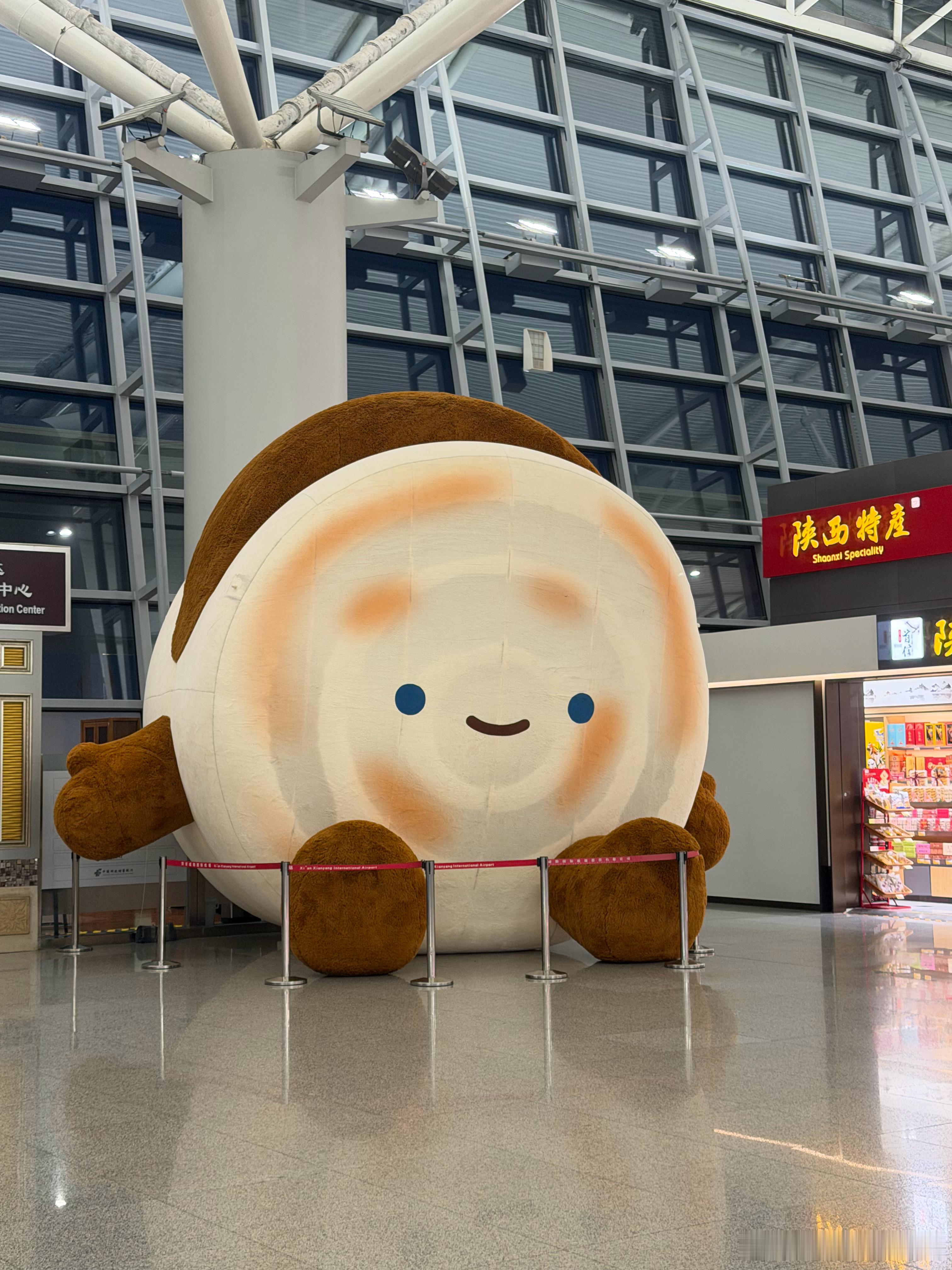 捕获一只绒馍馍 咸阳·西安咸阳国际机场