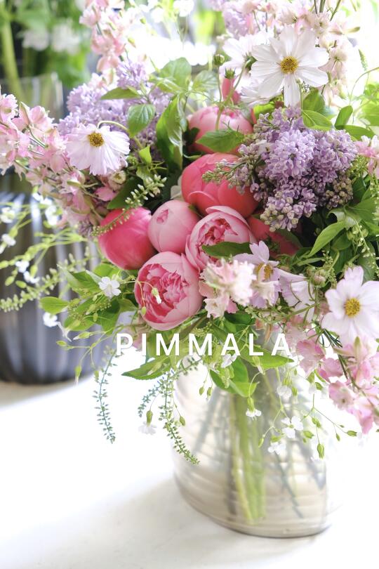 PIMMALA｜是雨天里的粉色