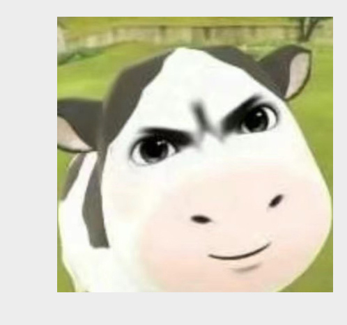 我每天： 