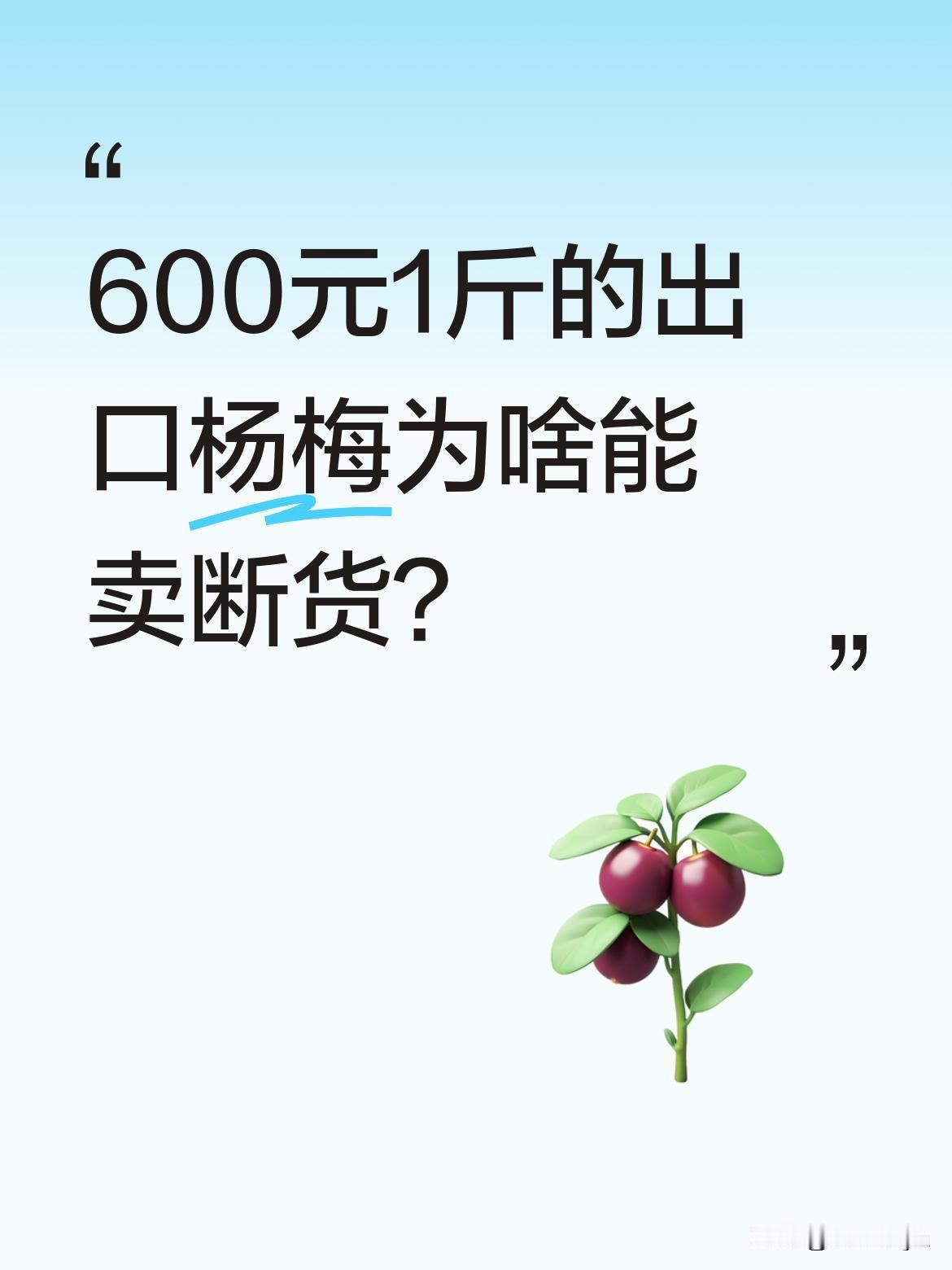 600元1斤的出口杨梅为啥能卖断货？
最近有消息称，出口杨梅还没发货就被法国、荷