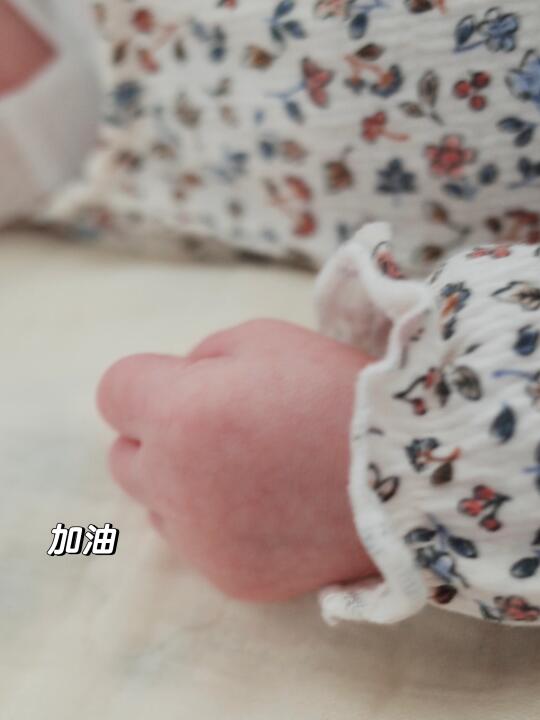 这篇没有鸟鸟只有宝宝