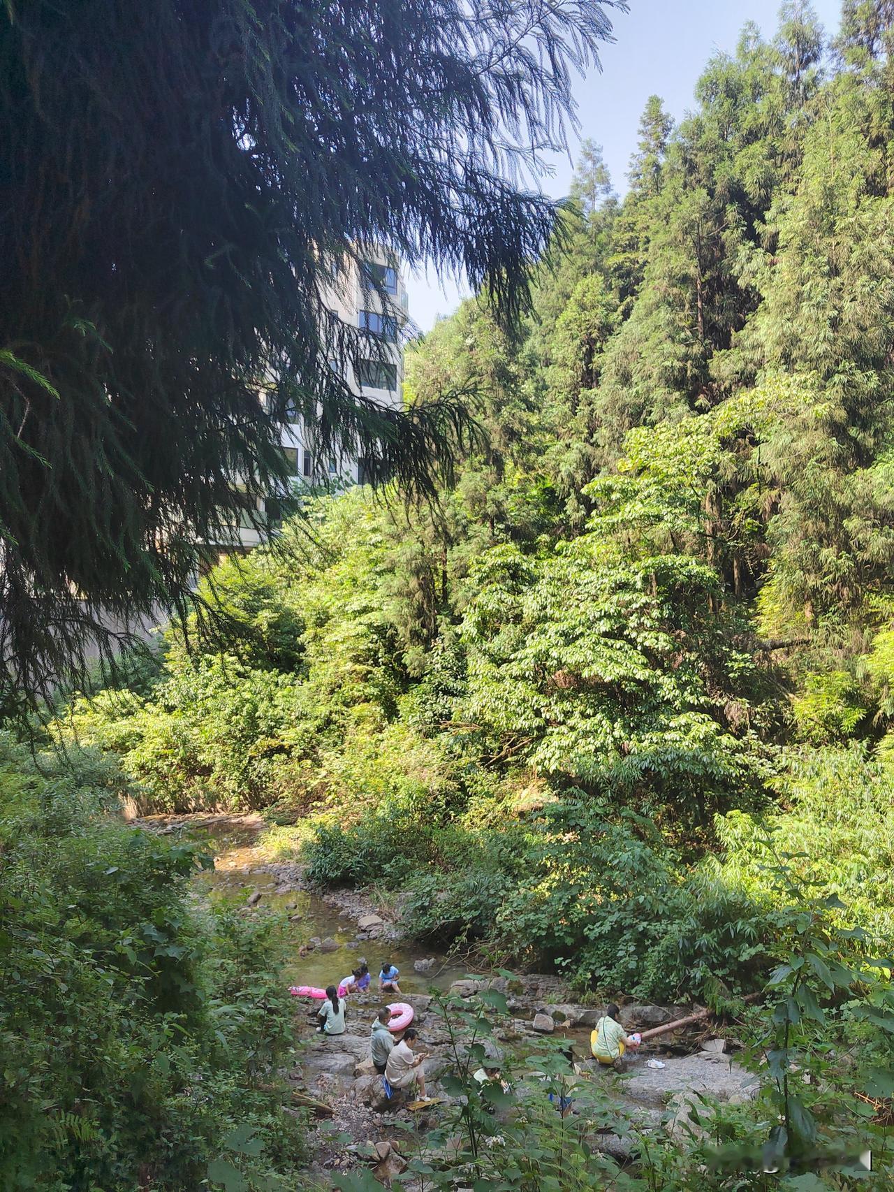 中国养都，世界好水。
峨眉山泉，水润洪雅。
在酷暑里走进峨眉后山七里坪，云中花岭