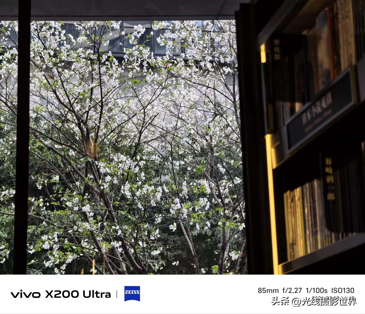 有时候，我内心会有点阴暗……3月13日，我从红岩村欣赏了吉野樱花和牡丹花还是芍药