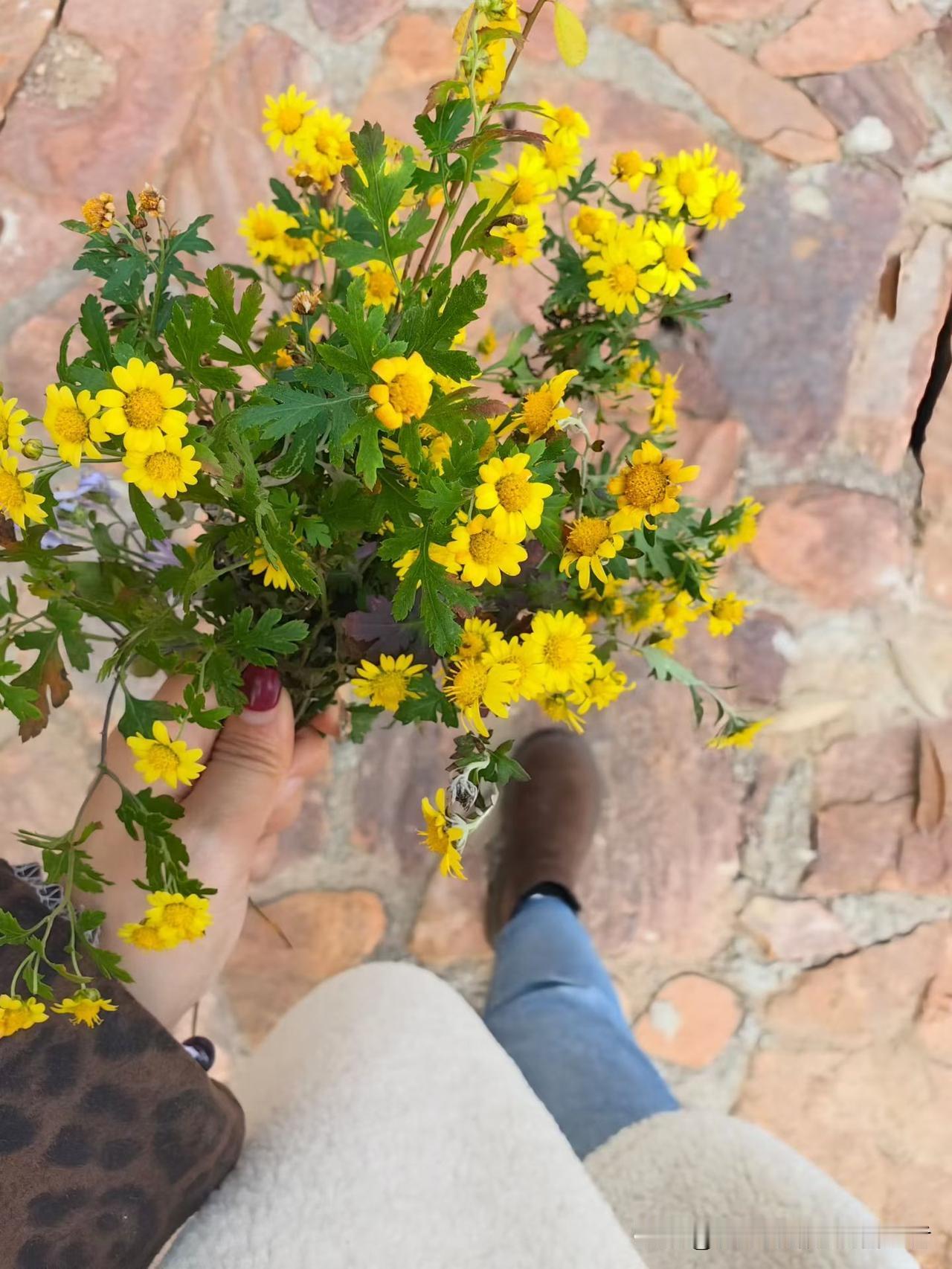 最美的秋景图片发几张