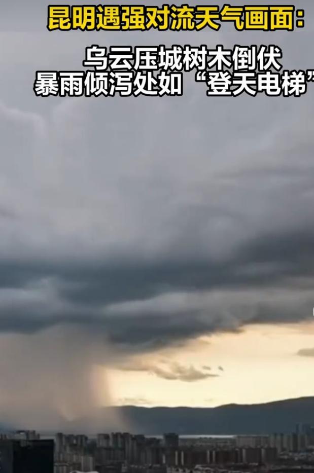 2026年7月15日，昆明城区这场暴雨可真是绝了！暴雨呈明显柱状倾泻，雨幕像连接