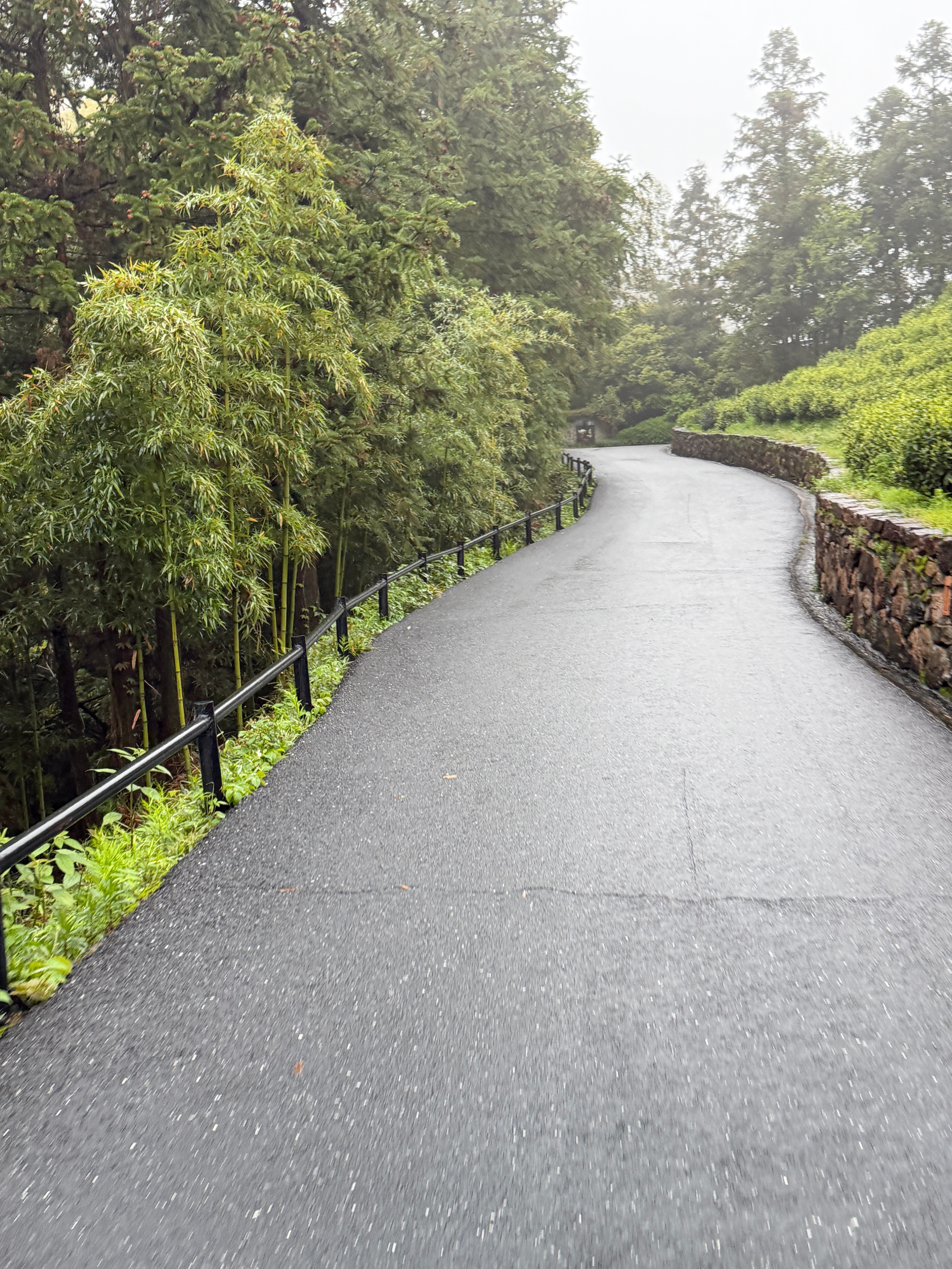离开仙境去魔都啦 湖州·莫干山裸心谷度假村