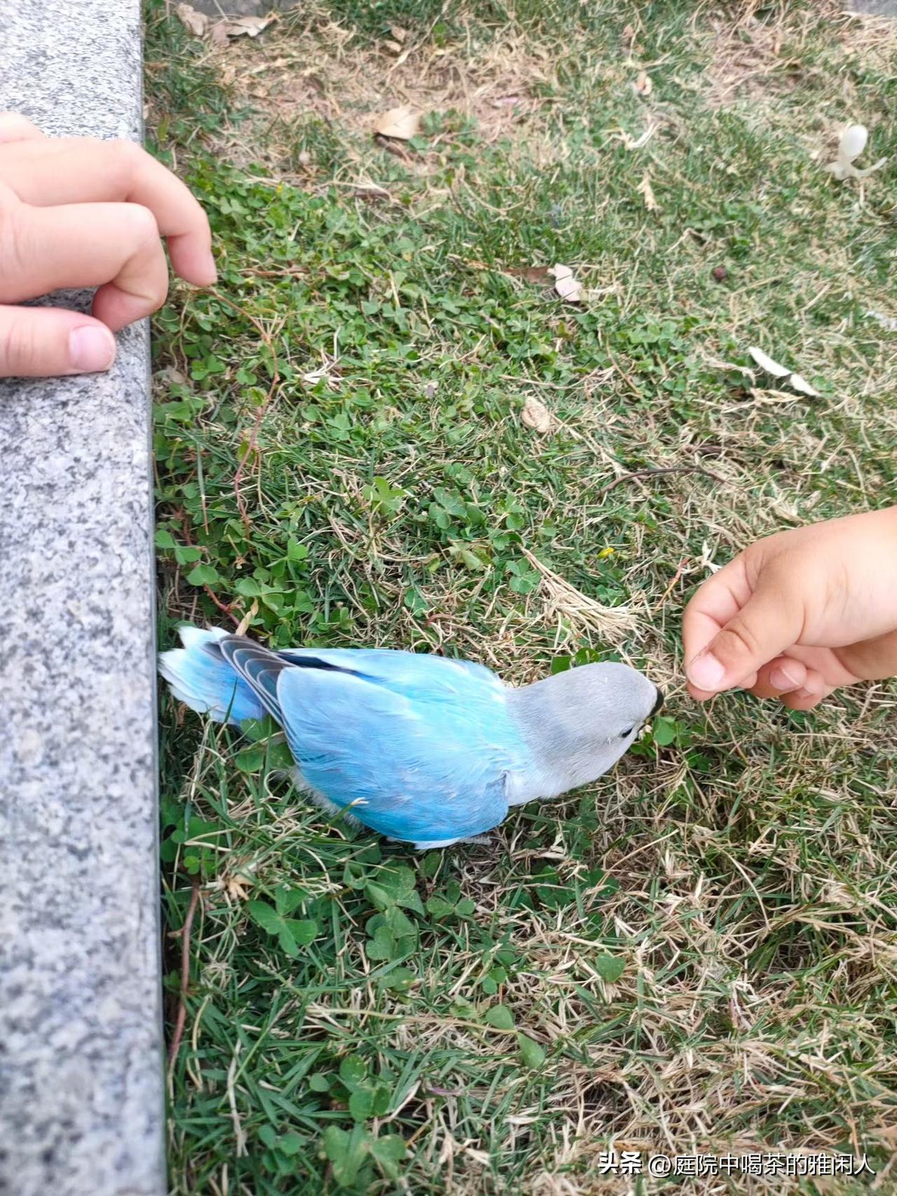 现在男人真的太现实
我侄子今年上岸了，进入了体制内工作，他告诉我他择偶只有一个条