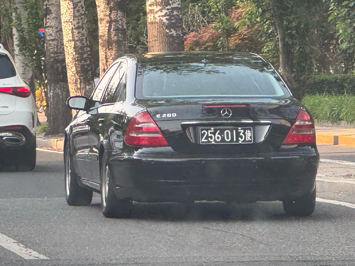 在北京碰见舒老师了
