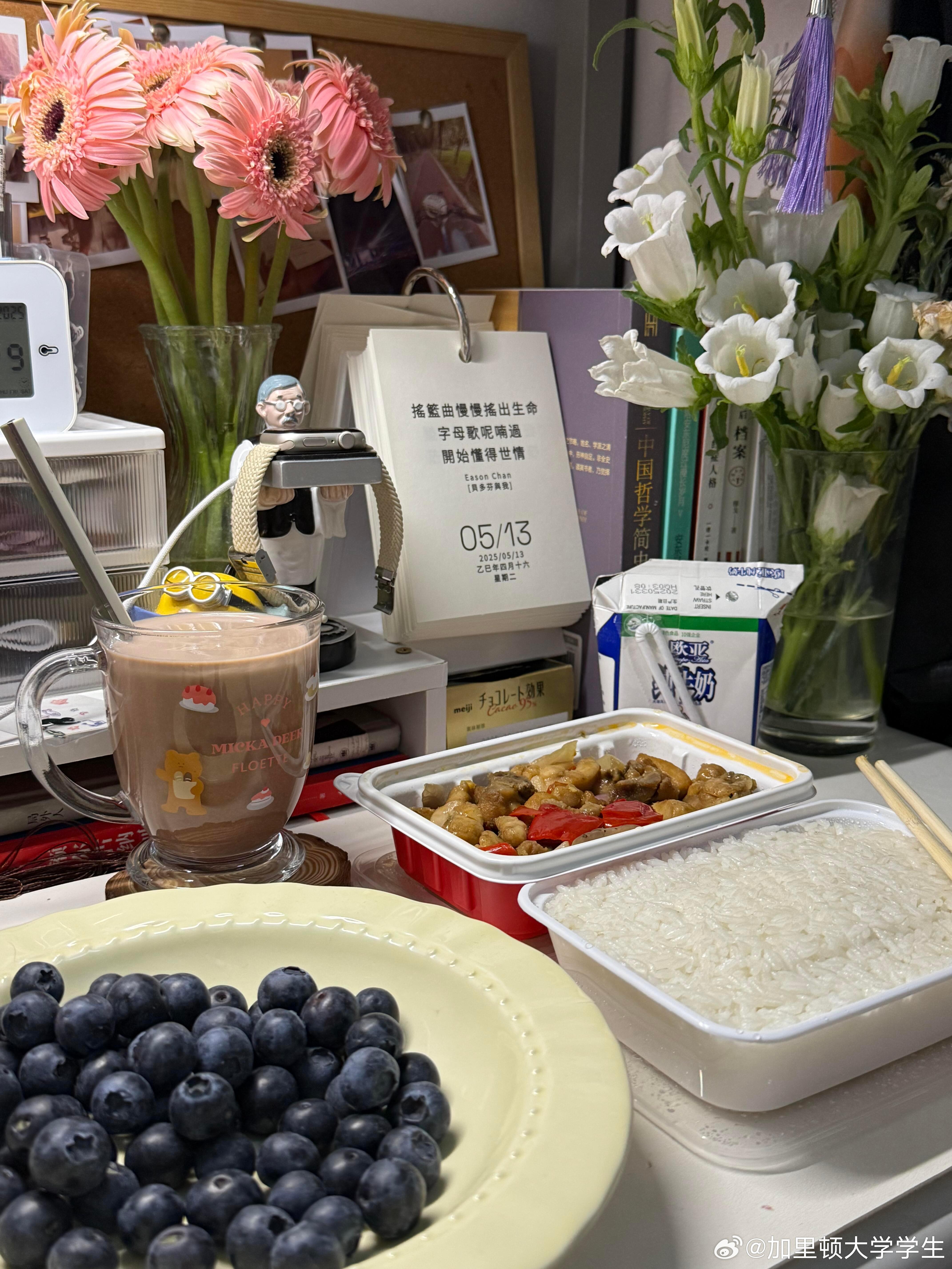 一些大学很幸福的证明没课的下午 看电视 喝奶茶洗完澡没有ddl没有晚课已上床的夜