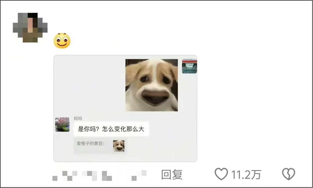 【#不要随便给爸妈发表情包#  他们是真的会“当真”】#给爸妈发表情包被当成自己